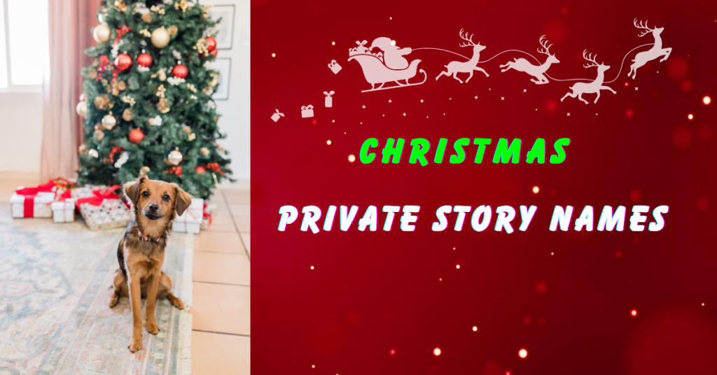 Christmas Private Story Names