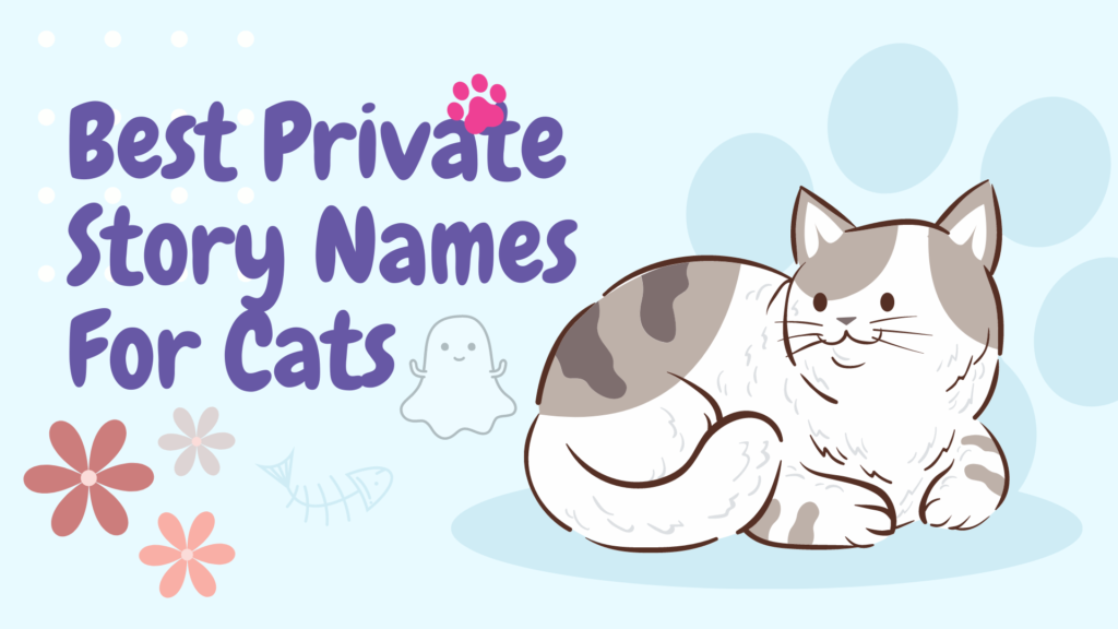 Best Private Story Names For Cats