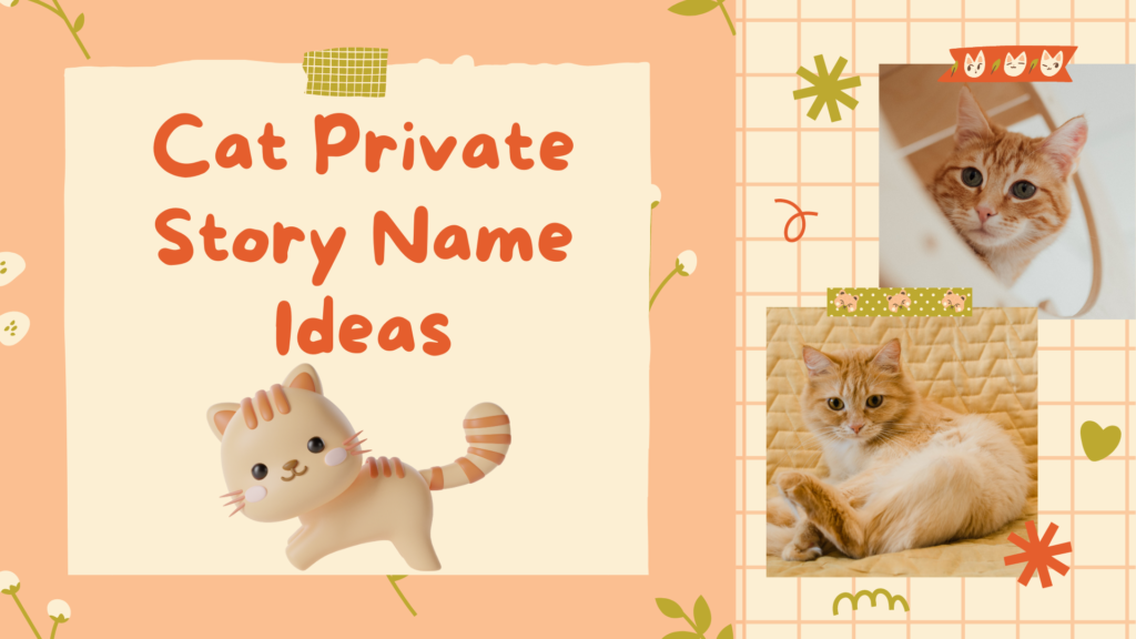 Cat Private Story Names