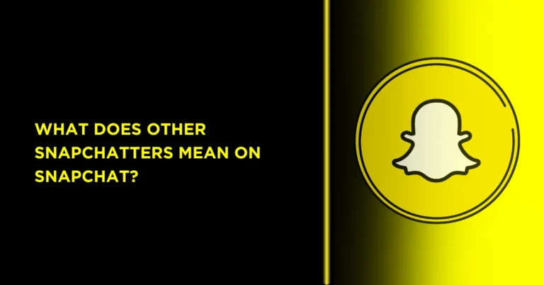 What Does Other Snapchatters Mean on Snapchat? 2 What Does Other Snapchatters Mean on Snapchat?